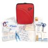 Lifeline AAA Commuter Kit - Emergency Kit for Vehicles