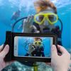 Stratum Aquatic Venture Phone Pouch - Duo | Carbon