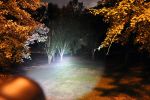 Everyday Utility Flashlight - Duo | ZX-2 DELUXE